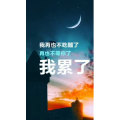 文字类3716