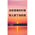 文字类3760
