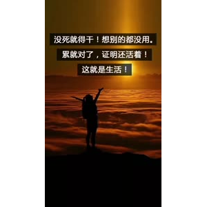 文字类3764