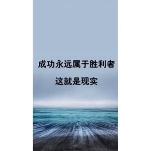 文字类3806