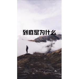 文字类3844