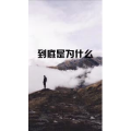 文字类3844