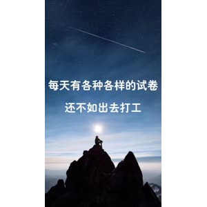 文字类3848