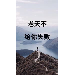 文字类3954