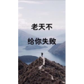 文字类3954
