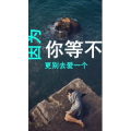 文字类4036
