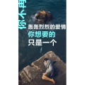 文字类4042