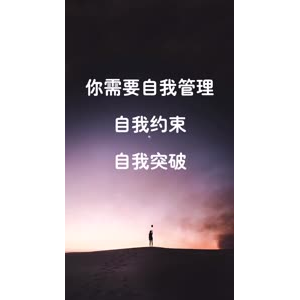 文字类4058