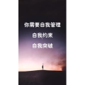文字类4058