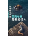 文字类4078