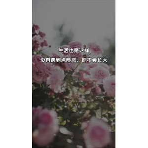 文字类4108