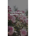 文字类4108