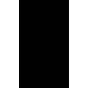文字类4198