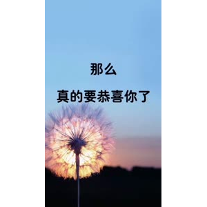 文字类4248