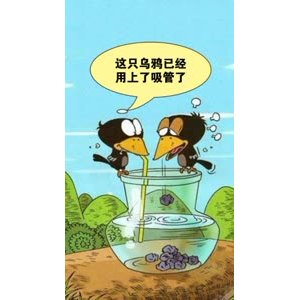 文字类4254