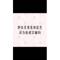 文字类4276