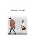 文字类4316