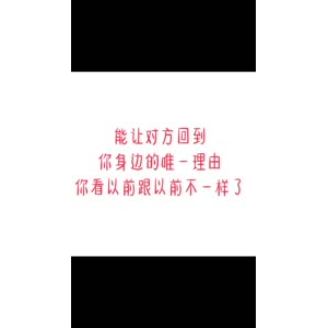 文字类4328