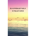 文字类4336