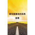 文字类4362