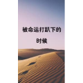 文字类4370