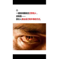 文字类4392