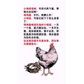 文字类4408