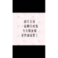 文字类4548