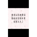 文字类4558