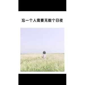 文字类4560