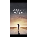 文字类4574