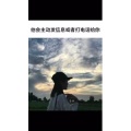 文字类4706