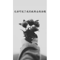 文字类4744