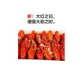 文字类4786