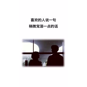 文字类4806