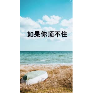 文字类4808