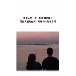 文字类4830