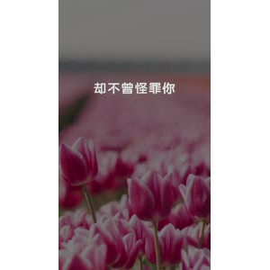 文字类4892
