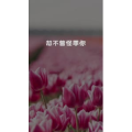 文字类4892
