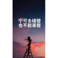 文字类4916