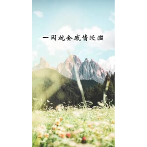 文字类4968