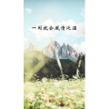 文字类4968
