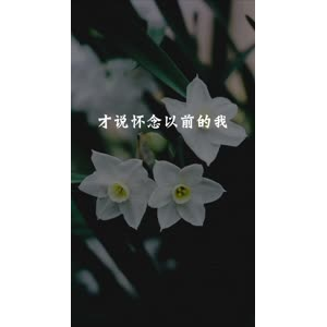 文字类4982