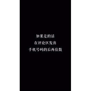 文字类5038