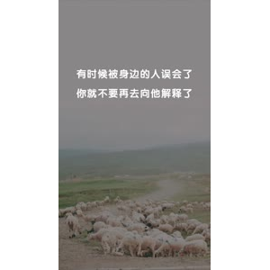文字类5078