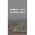 文字类5078