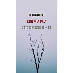 文字类5080
