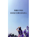文字类5090