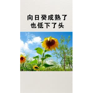 文字类5096