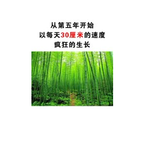 文字类5118
